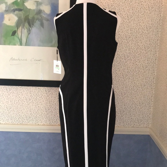 Ladies Sleeveless Dress - Picture 6 of 8